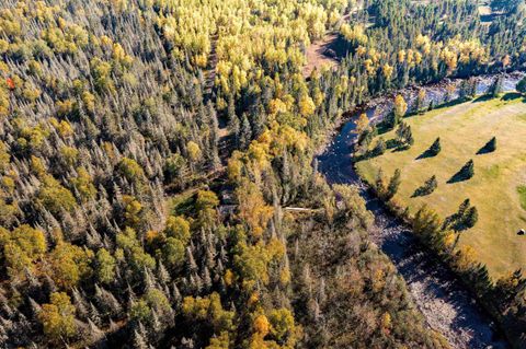 Tiny photo for TBD American Blvd, Finland, MN 55603 (MLS # 6123190)