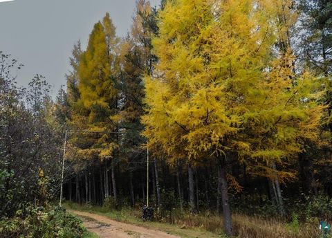 Tiny photo for 7839 Stromberg Rd, Embarrass, MN 55732 (MLS # 6123942)