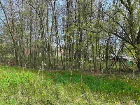 Tiny photo for 13 99th Ave W AVE, Duluth, MN 55808 (MLS # 6124066)