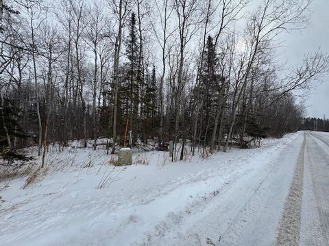 Tiny photo for XXXX McDonnell Rd, Duluth, MN 55804 (MLS # 6123559)