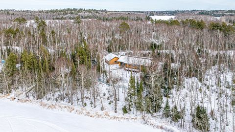 Tiny photo for 1859 Bobence Rd, Ely, MN 55731 (MLS # 6123729)