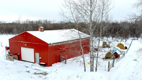 Tiny photo for 6014 Brown Rd, Kettle River, MN 55757 (MLS # 6123004)