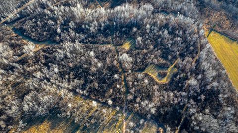 Tiny photo for 6014 Brown Rd, Kettle River, MN 55757 (MLS # 6123004)