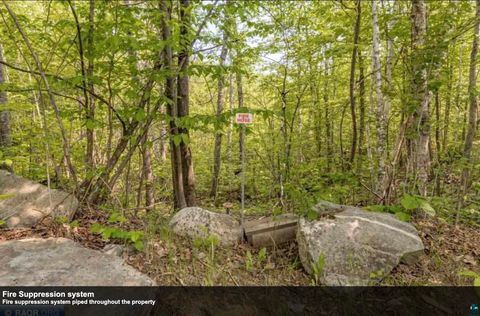 Tiny photo for 7481 S Stone Ridge Rd, Cook, MN 55723 (MLS # 6125669)