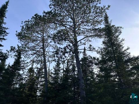 Tiny photo for TBD Island Lt-Whiteface Res, Makinen, MN 55763 (MLS # 6125932)