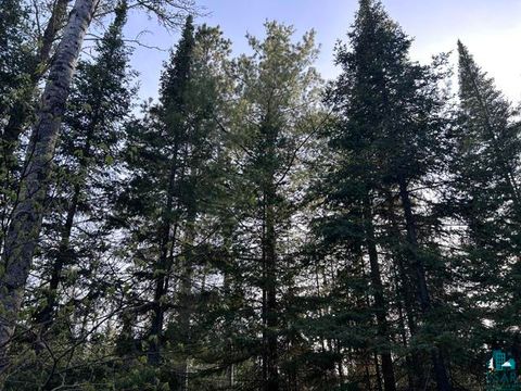 Tiny photo for TBD Island Lt-Whiteface Res, Makinen, MN 55763 (MLS # 6125932)