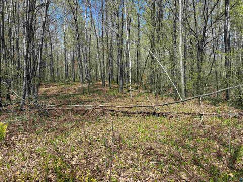 Tiny photo for 854 W Chub Lake Rd, Carlton, MN 55718 (MLS # 6125466)
