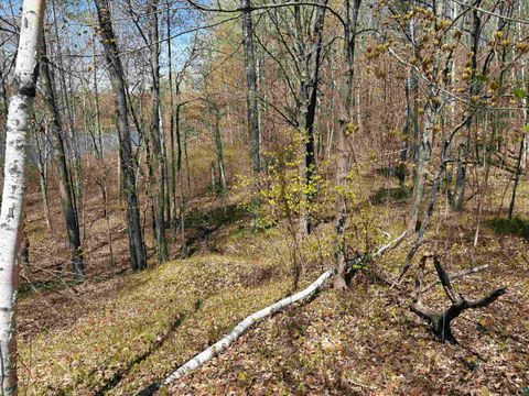 Tiny photo for 854 W Chub Lake Rd, Carlton, MN 55718 (MLS # 6125466)