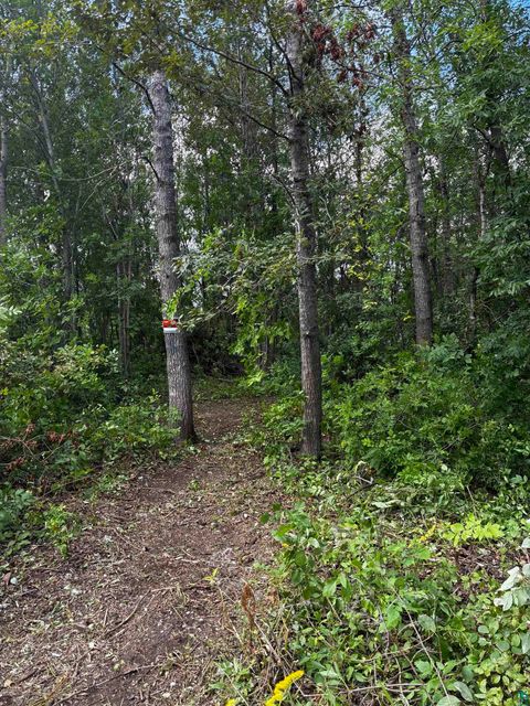 Photo of 2 S 63rd Ave W, Duluth, MN 55807 (MLS # 6123870)