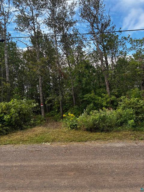 Tiny photo for 2 S 63rd Ave W, Duluth, MN 55807 (MLS # 6123870)