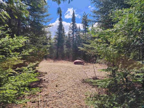 Tiny photo for 8 Wilderness Tr, Hovland, MN 55606 (MLS # 6125304)