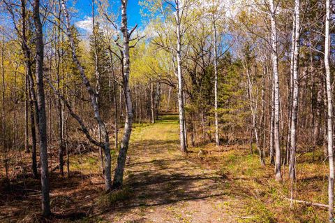 Tiny photo for 49 Morris Thomas Rd, Hermantown, MN 55811 (MLS # 6125665)
