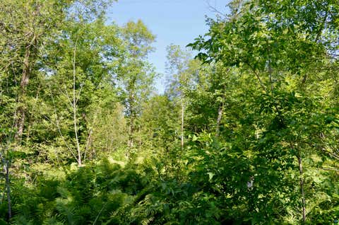 Tiny photo for 6438 Hwy 29, Floodwood, MN 55736 (MLS # 6126735)