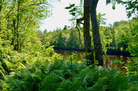 Tiny photo for 6438 Hwy 29, Floodwood, MN 55736 (MLS # 6126735)