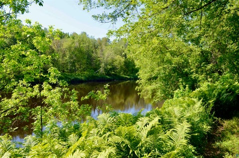 Tiny photo for 6438 Hwy 29, Floodwood, MN 55736 (MLS # 6126735)