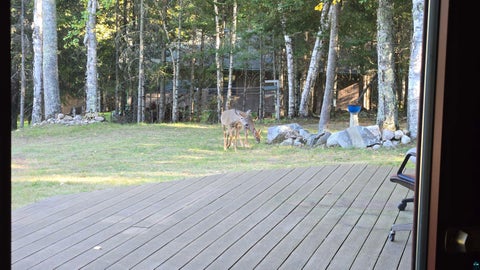 Tiny photo for 11381 Carlson Rd, Orr, MN 55771 (MLS # 6128135)