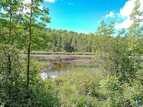 Tiny photo for 6975 Cramer Rd, Finland, MN 55603 (MLS # 6126297)