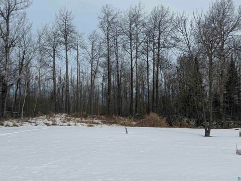 Tiny photo for TBD Hillcrest Dr, Orr, MN 55771 (MLS # 6123954)