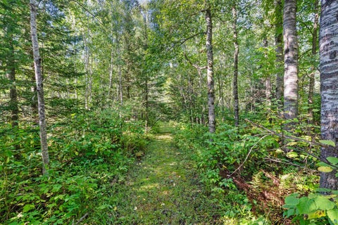 Tiny photo for 6085 Highway 1, Silver Bay, MN 55614 (MLS # 6127813)