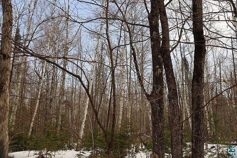 713XX Oulu Rock Rd Brule WI 54820