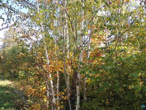 Tiny photo for 30 Isak Ridge Rd, Lutsen, MN 55612 (MLS # 6123830)