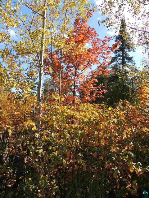 Tiny photo for 30 Isak Ridge Rd, Lutsen, MN 55612 (MLS # 6123830)