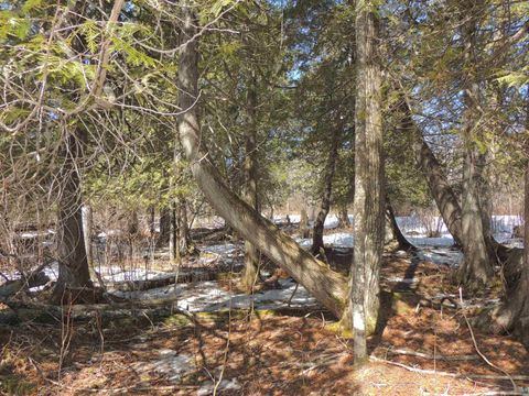 Tiny photo for 30 Isak Ridge Rd, Lutsen, MN 55612 (MLS # 6123830)