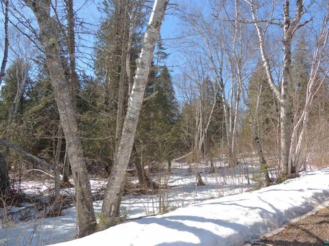 Tiny photo for 30 Isak Ridge Rd, Lutsen, MN 55612 (MLS # 6123830)