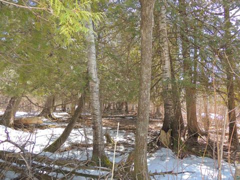 Tiny photo for 30 Isak Ridge Rd, Lutsen, MN 55612 (MLS # 6123830)