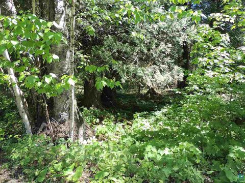 Tiny photo for 30 Isak Ridge Rd, Lutsen, MN 55612 (MLS # 6123830)