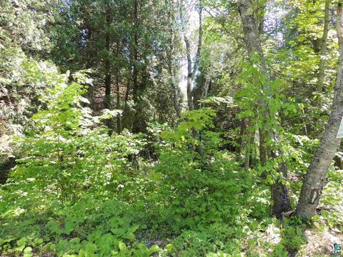 Tiny photo for 30 Isak Ridge Rd, Lutsen, MN 55612 (MLS # 6123830)