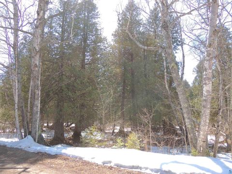 Tiny photo for 30 Isak Ridge Rd, Lutsen, MN 55612 (MLS # 6123830)