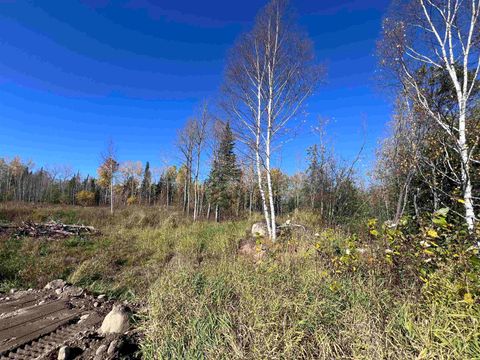 Tiny photo for 2231 Sibley Dr, Ely, MN 55731 (MLS # 6122447)