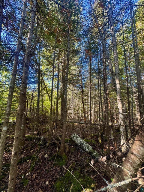 Tiny photo for TBD Powers Lake Rd, Hovland, MN 55606 (MLS # 6127989)