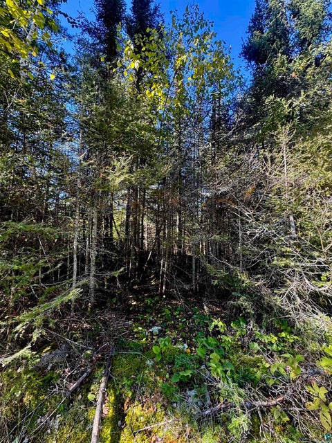 Tiny photo for TBD Powers Lake Rd, Hovland, MN 55606 (MLS # 6127989)