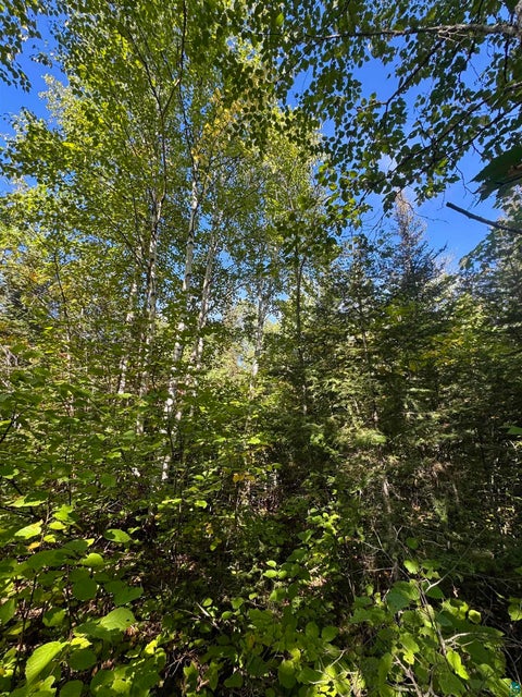 Tiny photo for TBD Powers Lake Rd, Hovland, MN 55606 (MLS # 6127989)