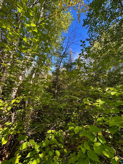 Tiny photo for TBD Powers Lake Rd, Hovland, MN 55606 (MLS # 6127989)