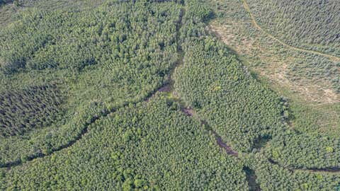 Tiny photo for XXX Digs Dr, Wright, MN 55798 (MLS # 6126680)