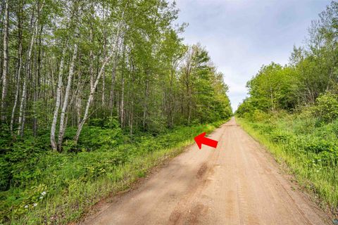 Tiny photo for XXX Digs Dr, Wright, MN 55798 (MLS # 6126680)
