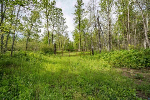 Tiny photo for XXX Digs Dr, Wright, MN 55798 (MLS # 6126680)
