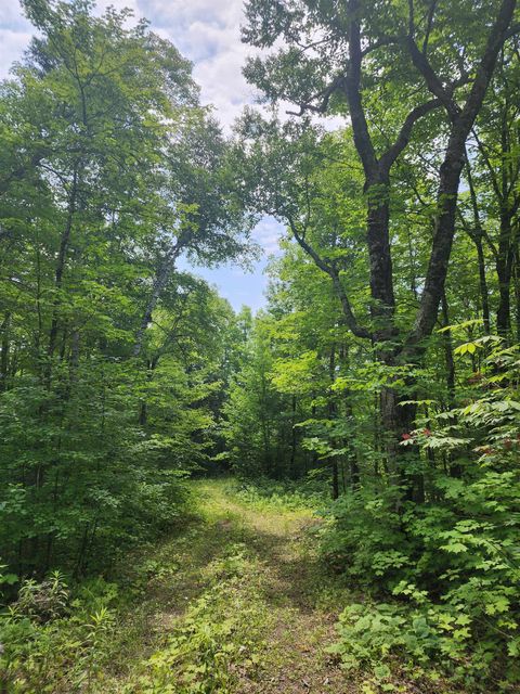 Tiny photo for 192 W Deeryard Lake Rd, Lutsen, MN 55612 (MLS # 6123425)