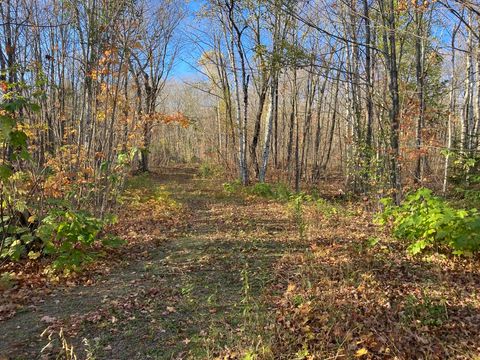Tiny photo for 192 W Deeryard Lake Rd, Lutsen, MN 55612 (MLS # 6123425)