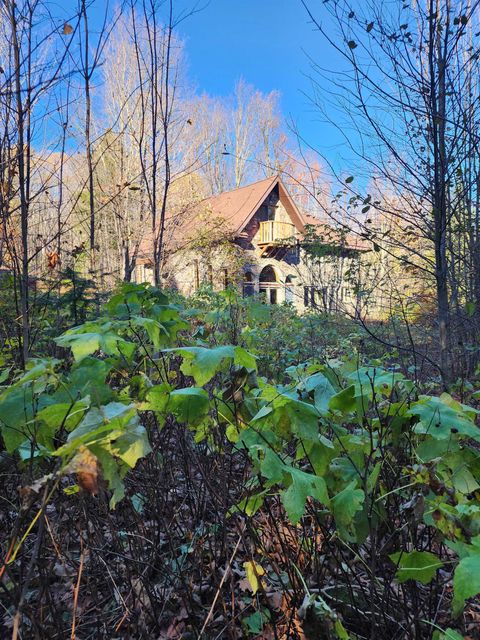 Tiny photo for 192 W Deeryard Lake Rd, Lutsen, MN 55612 (MLS # 6123425)