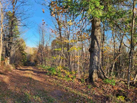 Tiny photo for 192 W Deeryard Lake Rd, Lutsen, MN 55612 (MLS # 6123425)