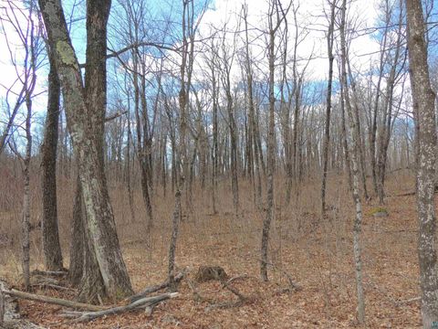 Tiny photo for XXX Springdale Rd, Tofte, MN 55615 (MLS # 6124939)
