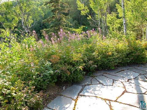Tiny photo for 5998 Highway 61, Silver Bay, MN 55614 (MLS # 6127483)