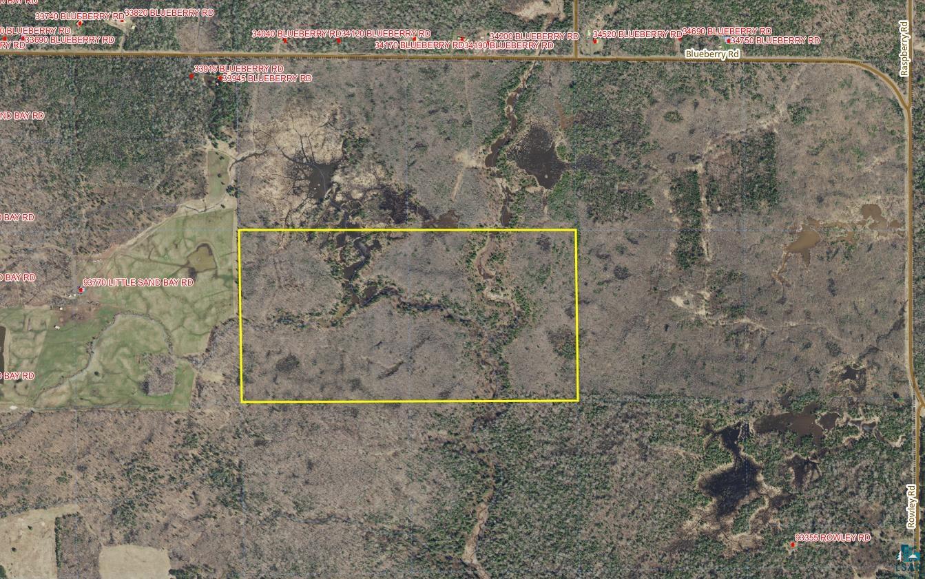 80 Acres Near Blueberry Rd