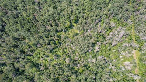 Tiny photo for TBD S Cant Rd, Duluth, MN 55804 (MLS # 6127145)