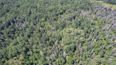 Tiny photo for TBD S Cant Rd, Duluth, MN 55804 (MLS # 6127145)