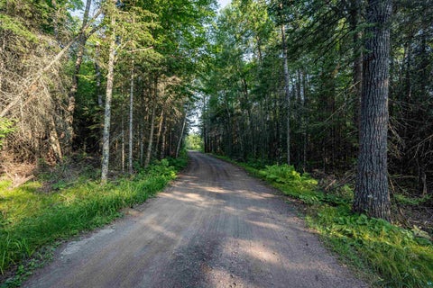 Tiny photo for TBD Otter River Rd, Duluth, MN 55803 (MLS # 6127411)